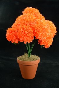 Bright Orange Carnation-Mum Bush x12  (Lot of 1) SALE ITEM